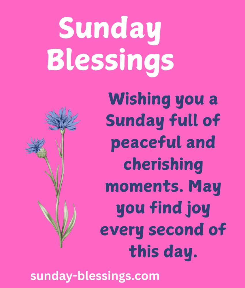 60+ Sunday Blessings Images with Quotes & Prayers 12 Blessed Sunday Images