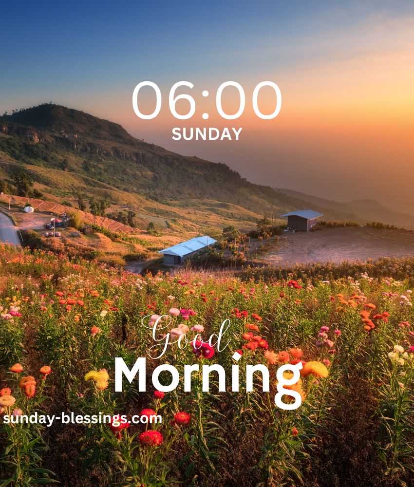 Good Morning Happy Sunday Image