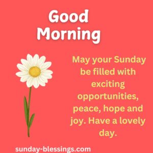 100+ Sunday Morning Blessings for a Peaceful and Joyful Week 5 good morning Sunday blessings image